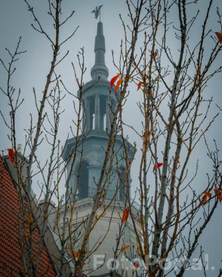 Niecodzienny jesienny Poznań