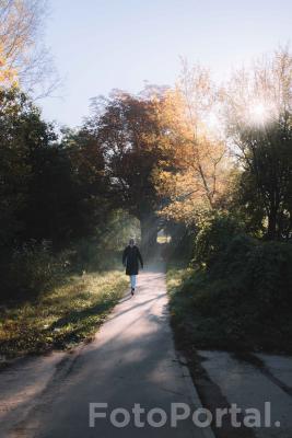 Jesienny poranek na ul. Urbanowskiej