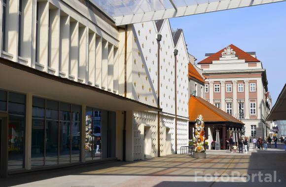 Światłocienie Poznania