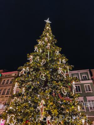 Choinka na Starym Rynku