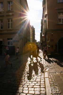 Wakacje w mieście