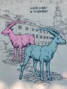 Poznańskie koziołki 2025