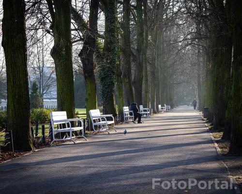 Aleja światła i cieni