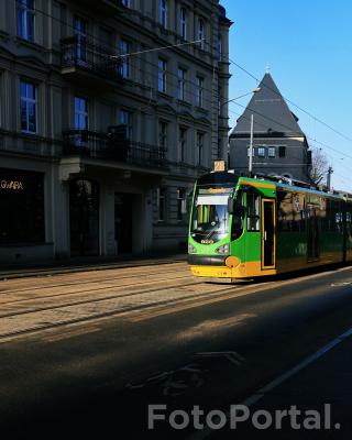 Światłocienie Poznania