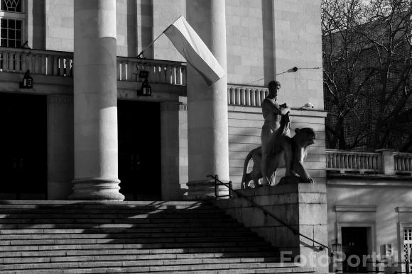 Światłocienie Poznania