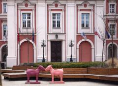 Okna na Placu Kolegiackim i Koziołki