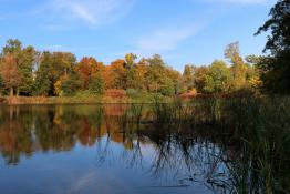 Park Sołacki