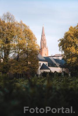 Ogród Zamkowy w jesiennych barwach