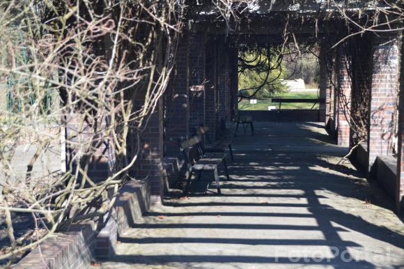 Światłocienie Poznania