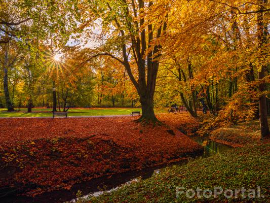 Park Sołacki