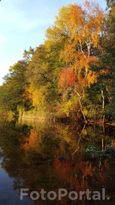 Jesień nad Rusałką