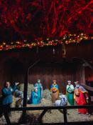 Szopka Bożonarodzeniowa