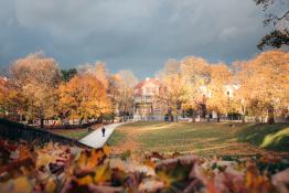 Park Wieniawskiego w jesiennych barwach