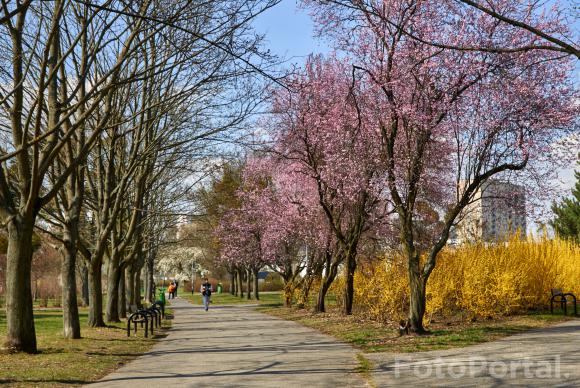 Park Wł Czarneckiego  Os Przyjaźni