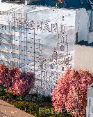 Wiosenny Poznań