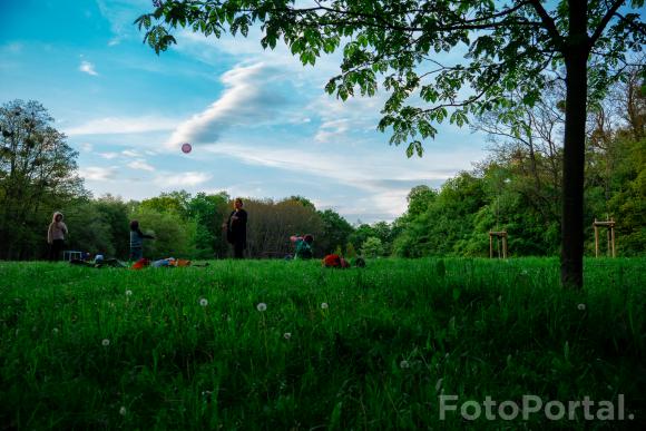 Piknik w Parku nad Wartą