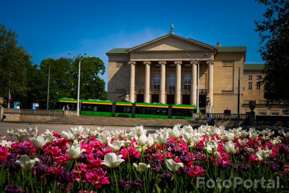 Wiosna przed Teatrem Wielkim