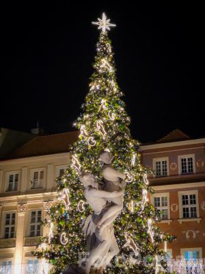 Choinka na starym rynku