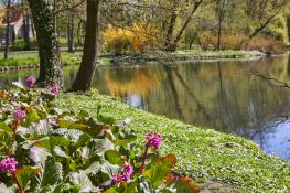 Park Sołacki - wreszcie wiosna