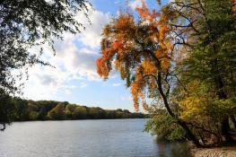 Październik nad Rusałką