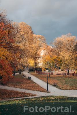 Park Wieniawskiego w jesiennych barwach