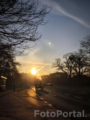 Poranek na Winogradach