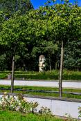Róża w Rosarium Cytadela