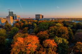 Park Marcinkowskiego w jesiennym wydaniu