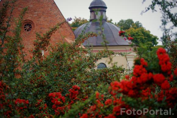 Jesienny Poznań