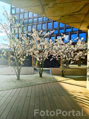 Nowy dzień na Nowym Rynku