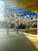 Nowy dzień na Nowym Rynku