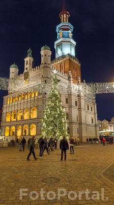 Choinka na Starym Rynku