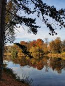 Park Sołacki przegląda się w lustrze