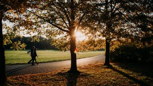 Park Cytadela, al. Armii Poznań