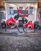 Świąteczny Poznań