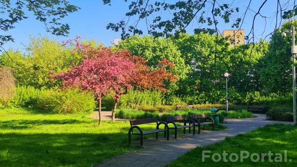 Mój ulubiony park