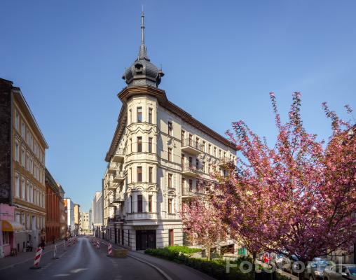 Wiosenne żelazko