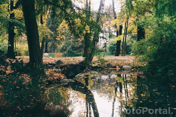Sołacz