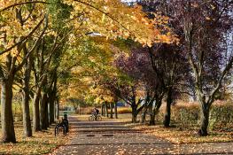 Jesień na Winogradach (Park Wł. Czarneckiego)