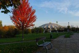 Arena jesienią