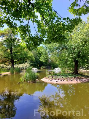 Nowe spojrzenie na Park Wilsona