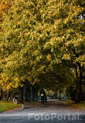 Przechodząc parkiem