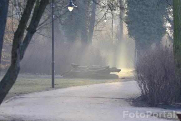 Światłocienie Poznania