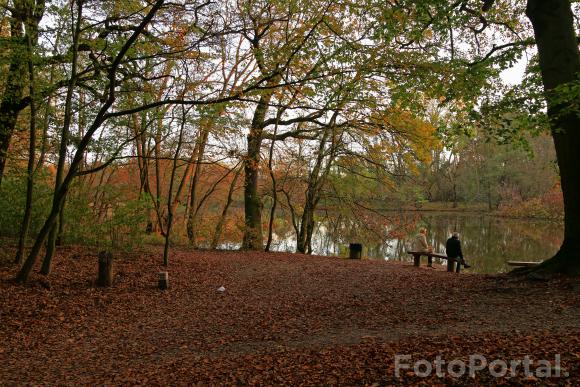 Park Dębina