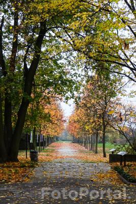 Ogród Botaniczny