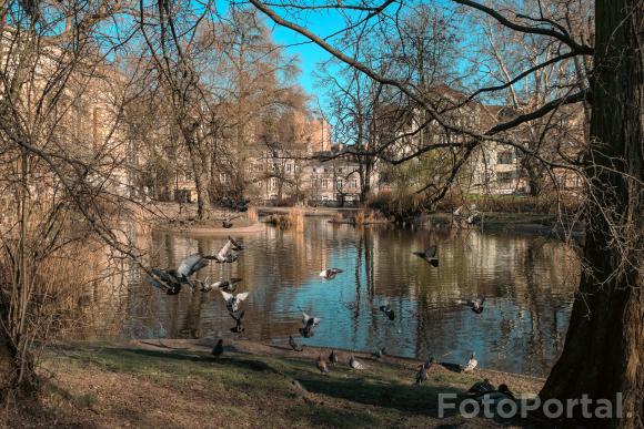 Spacer po Grunwaldzie