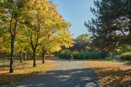 Jesień na Winogradach (Park Wł. Czarneckiego)