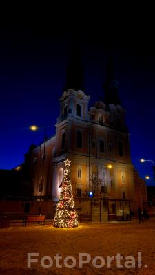 Choinka na tle kościoła franciszkanów