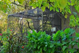 Małpi gaj na terenie Starego ZOO