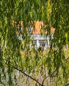 Camuflage